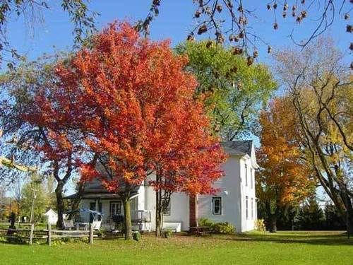La Maison des Leclerc Trois-Rivières Extérieur photo